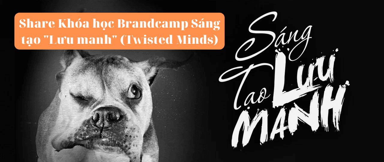 share khóa học brandcamp sáng tạo lưu manh (twisted minds)